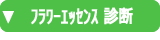 フラワーエッセンス　診断