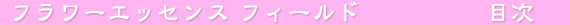 �t�����[�G�b�Z���X�@web����R�����@�X�g�[���[