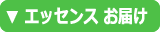 フラワーエッセンス　調合　お届け