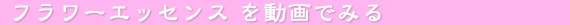 �t�����[�G�b�Z���X�̓���z�M