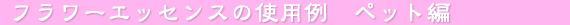 �t�����[�G�b�Z���X�̎g�p��@�y�b�g��
